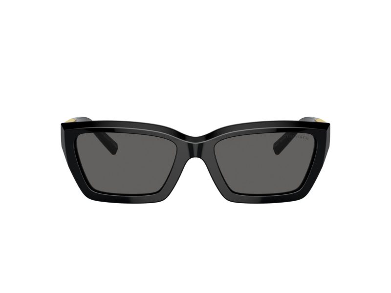 Tiffany Sonnenbrille TF 4213 8001S4
