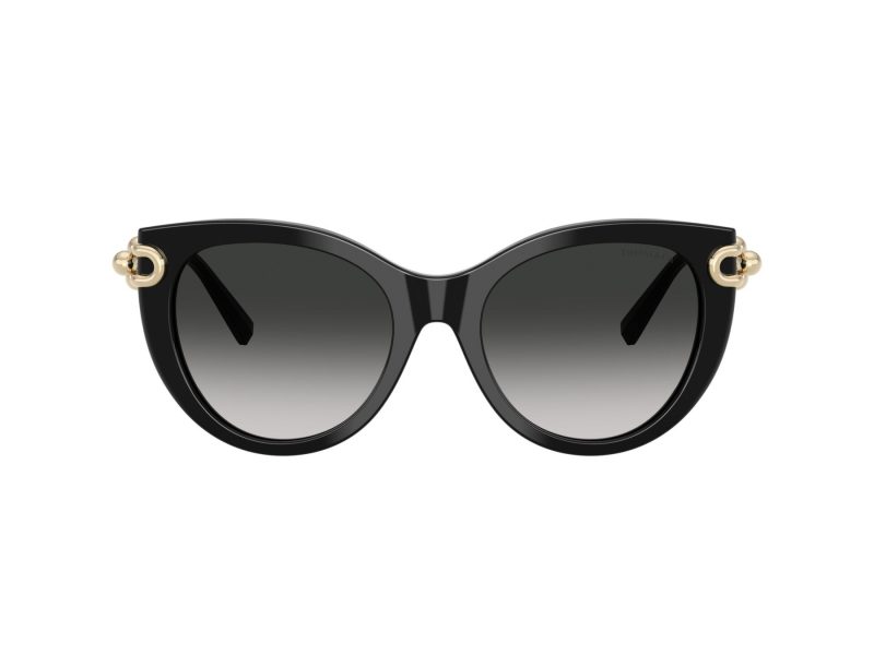 Tiffany Sonnenbrille TF 4232 80013C