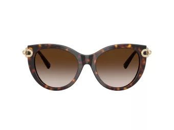 Tiffany Sonnenbrille TF 4232 80153B