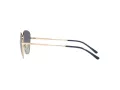 Vogue Sonnenbrille VO 4232S 848/4L