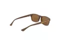 Web Sonnenbrille WE 0371 56J